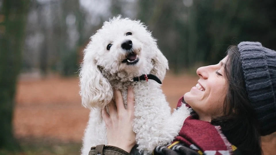 Comment le chien dit je t'aime