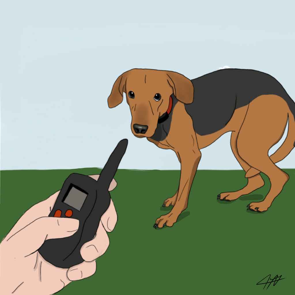 Quels sont les colliers interdits pour les chiens ?