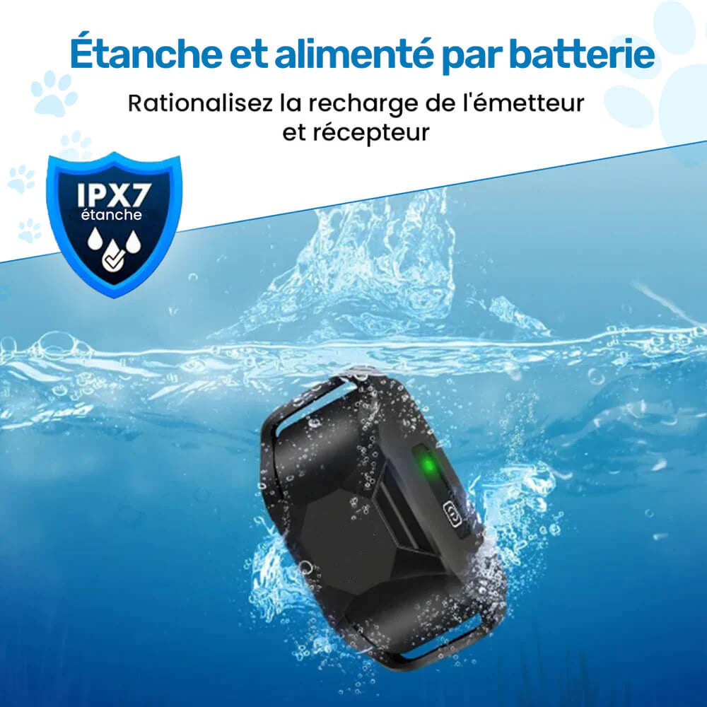 Collier de Dressage sans Douleur