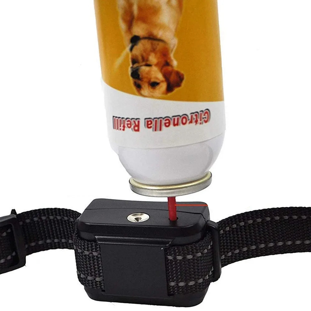 Collier Anti Aboiement à Spray citronnelle