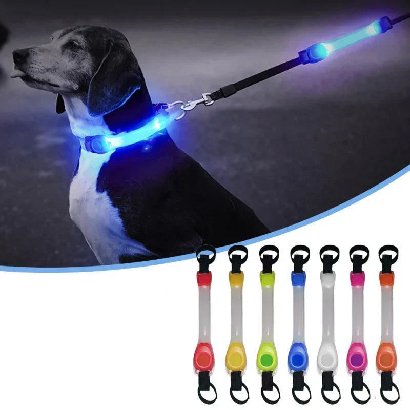 Collier Lumineux Clignotant