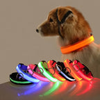 Collier Lumineux à LED