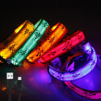 Collier Lumineux LED Réglable