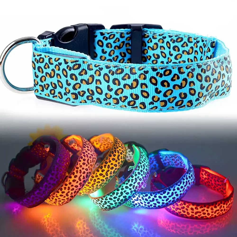 Collier Lumineux Poil Long