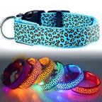 Collier Lumineux Poil Long