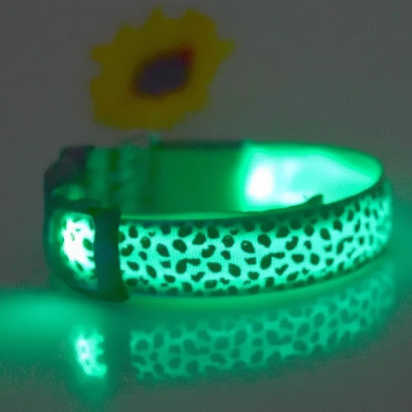 Collier Lumineux Poil Long vert