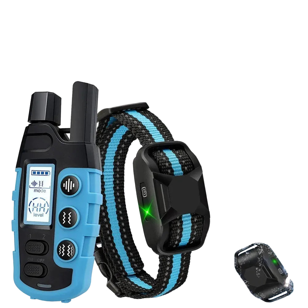 Collier de Dressage sans Douleur Bleu