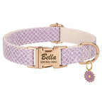 Collier pour Chien avec Médaille Personnalisé violet