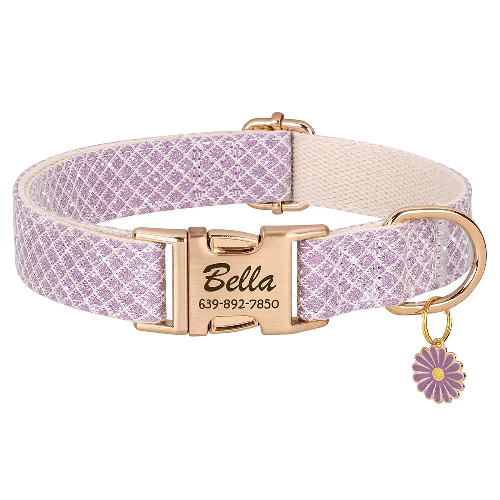 Collier pour Chien avec Médaille Personnalisé violet