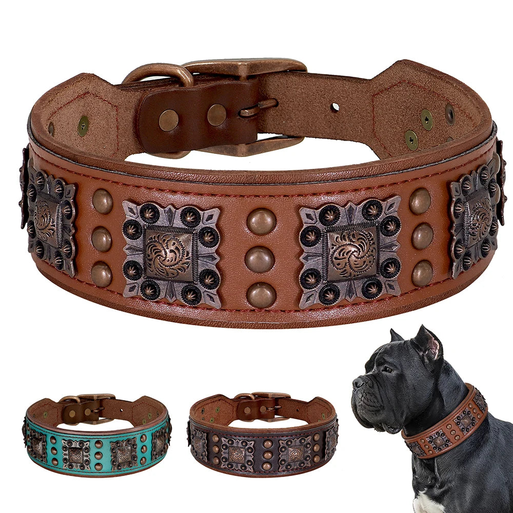 Collier pour Chien en Cuir Haut de Gamme