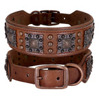 Collier pour Chien en Cuir Haut de Gamme marron