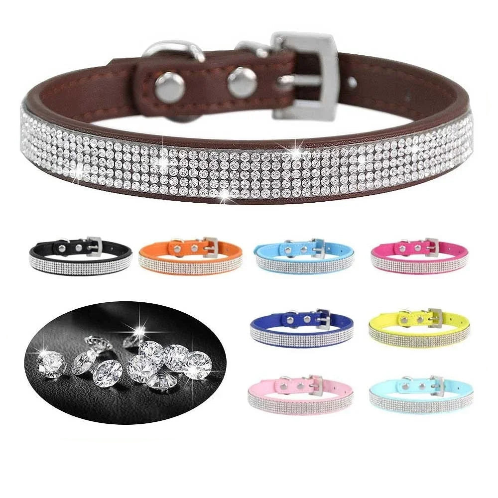Collier pour Chien en Cuir Strass