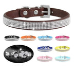 Collier pour Chien en Cuir Strass