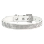 Collier pour Chien en Cuir Strass blanc