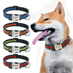 Collier pour Chien Personnalisé avec Plusieurs Motifs