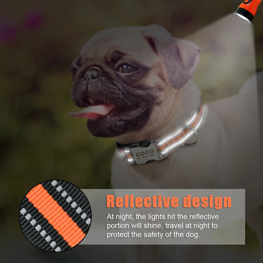Collier pour Chien Personnalisé avec Plusieurs Motifs