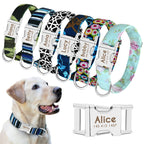 Collier pour Chien Personnalisé avec Plusieurs Motifs