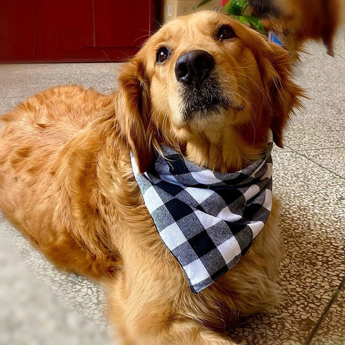 Bandana & Foulard pour Chien