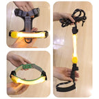Collier Lumineux Clignotant