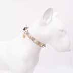Collier en Cuir pour Chien de Luxe