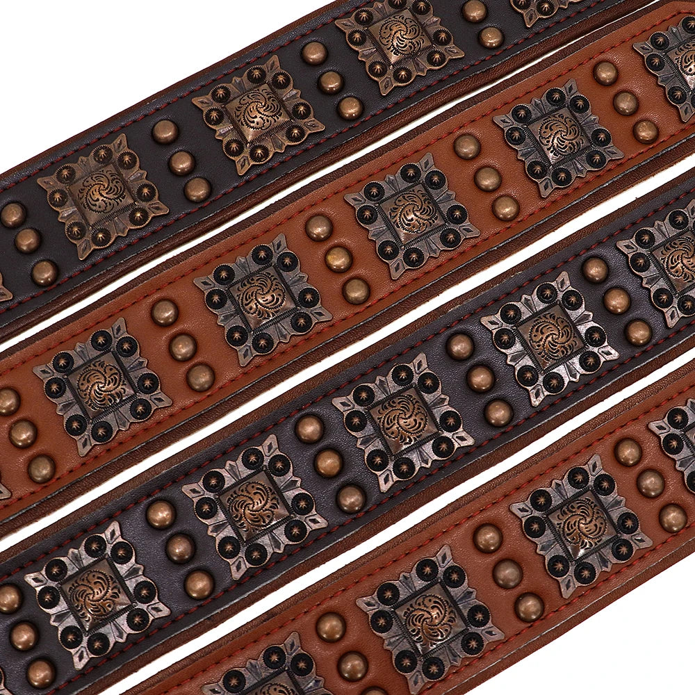 Collier pour Chien en Cuir Haut de Gamme