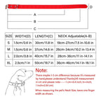 Collier pour Chien en Cuir Strass