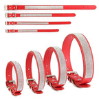 Collier pour Chien en Cuir Strass