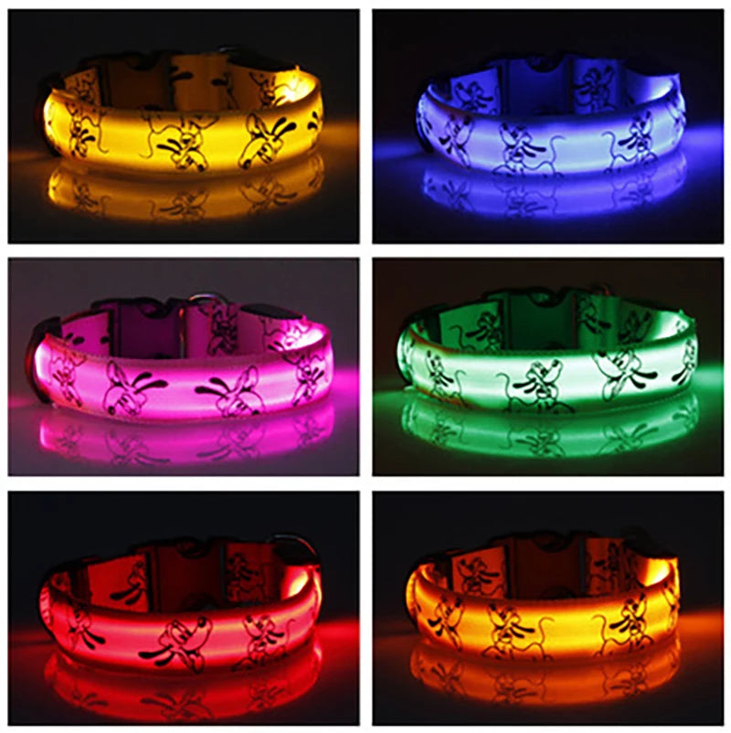Collier Lumineux LED Réglable