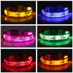 Collier Lumineux LED Réglable