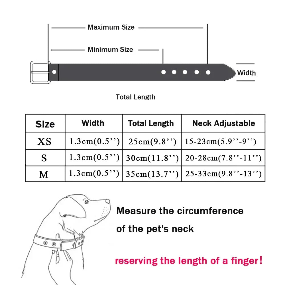 Collier en Cuir pour Petit Chien