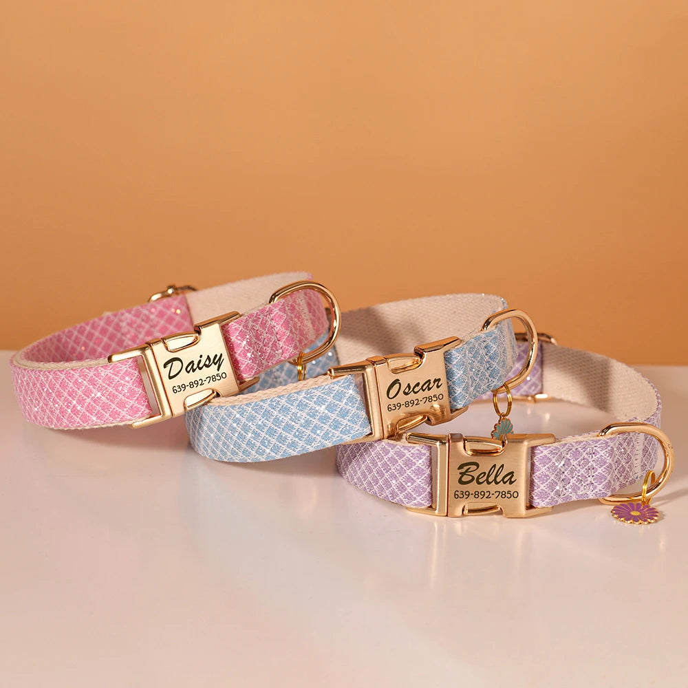 Collier pour Chien avec Médaille Personnalisé