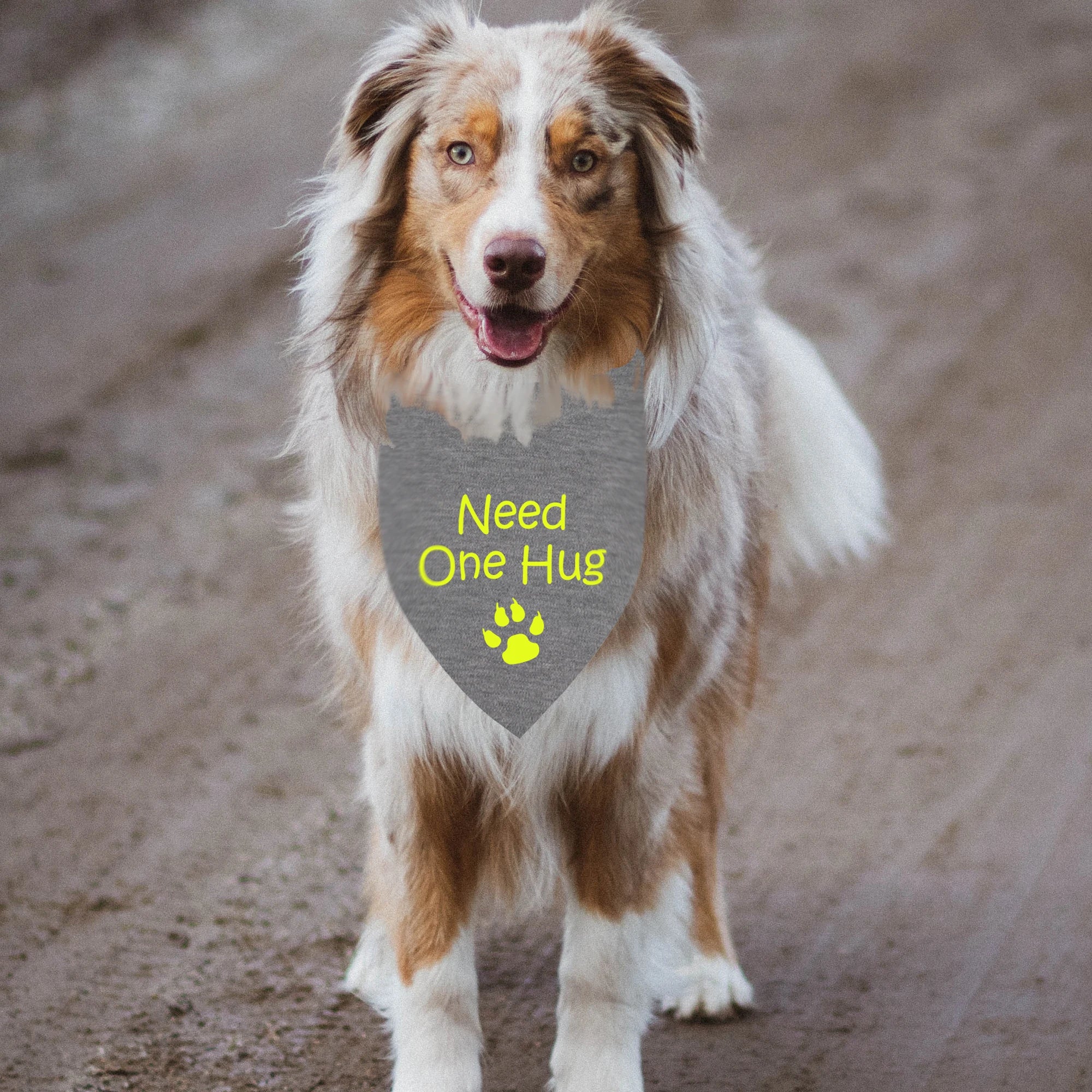 Bandana pour Chien Personnalisable