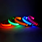 Collier Lumineux à LED