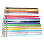 Collier en Cuir pour Petit Chien