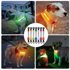 Collier Lumineux Clignotant