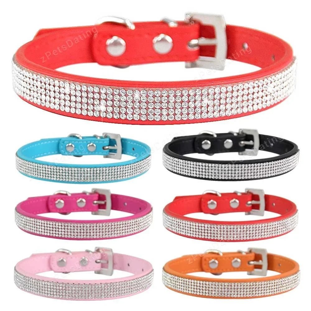 Collier pour Chien en Cuir Strass