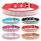 Collier pour Chien en Cuir Strass