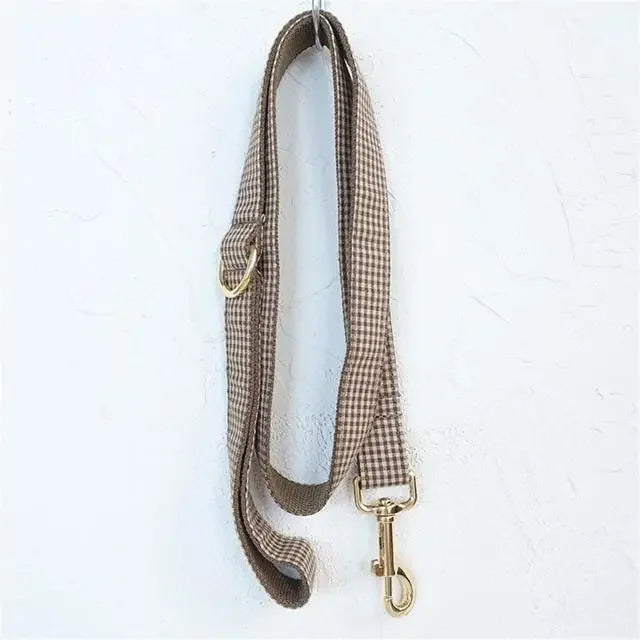 Collier et Laisse pour Chien Personnalisé