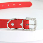 Collier pour Chien en Cuir Strass