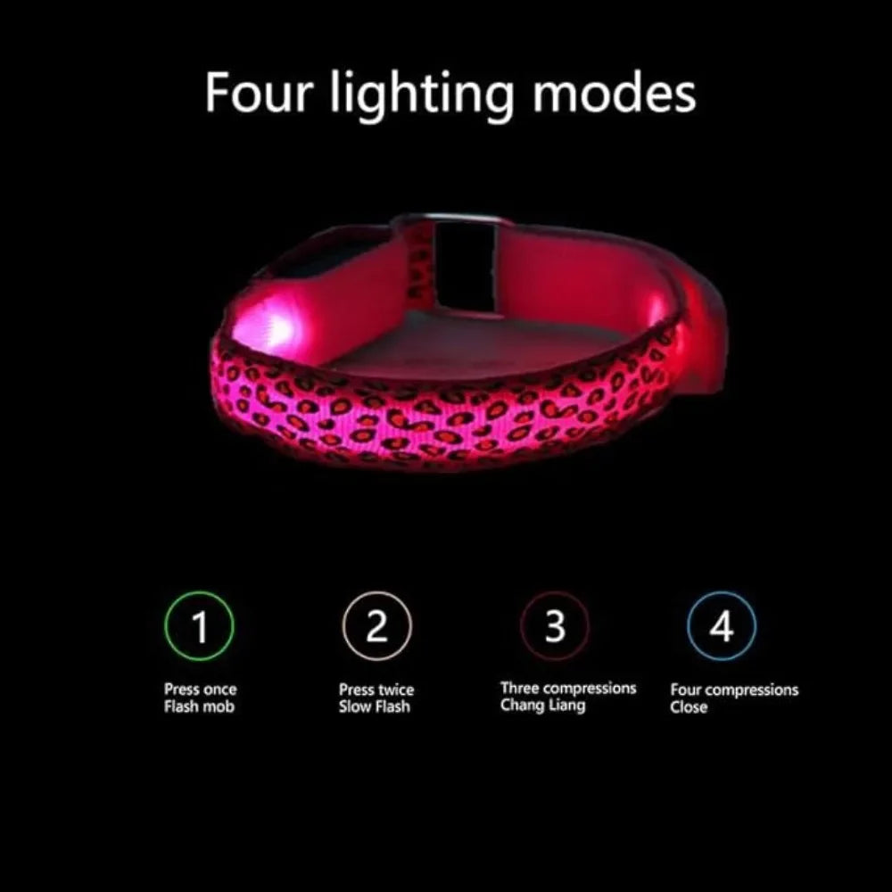 Collier Lumineux Poil Long