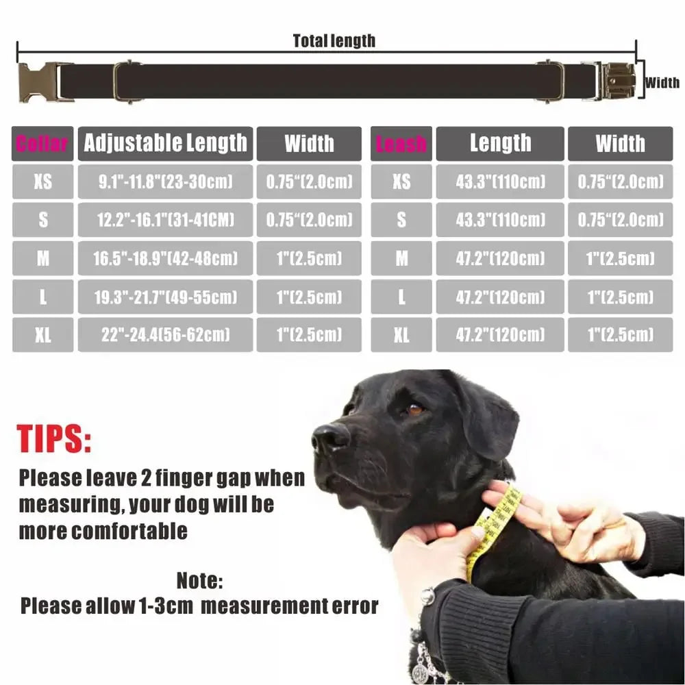 Collier et Laisse pour Chien Personnalisé