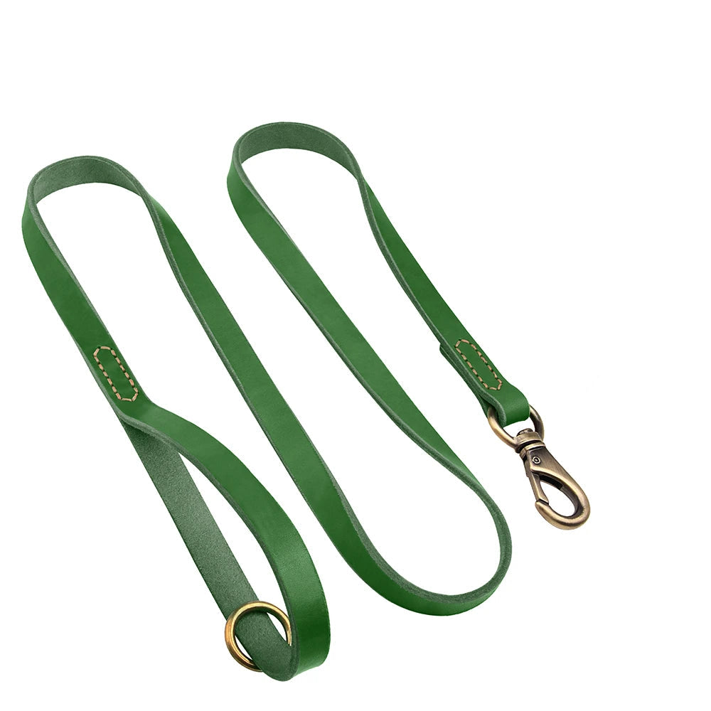 Collier et Laisse en Cuir pour Chien